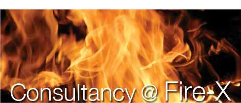 Consultancy at Fire-X